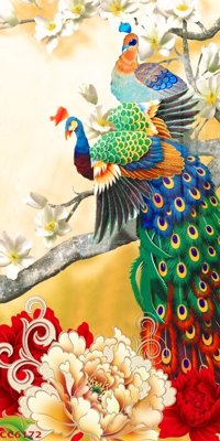 File PSD File gốc tranh chim công CC6172 (chất lượng in ấn)