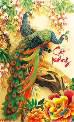 File in trần File gốc tranh chim công CC6211 (bản gốc) mây trời