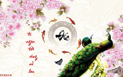 File gốc File gốc tranh chim công CC6214 (ảnh chi tiết) để in trần