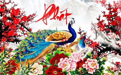 File gốc File gốc tranh chim công CC6259 (phiên bản chuẩn) để in ấn