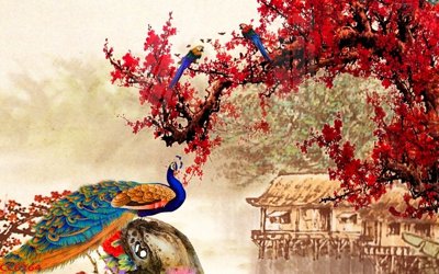 Tải file File gốc tranh chim công CC6264 (gốc) làm file thiết kế