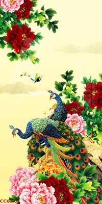 File tranh File gốc tranh chim công CC6274 (ảnh gốc) cho in ấn kỹ thuật số