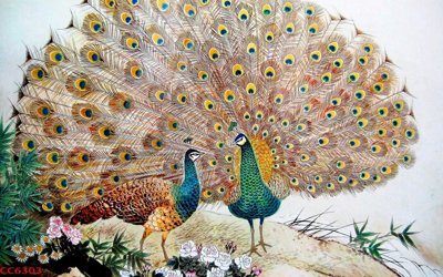 File ảnh File gốc tranh chim công CC6303 (gốc) in decal dán tường