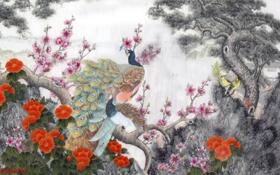 Tệp tin gốc File gốc tranh chim công CC6331 (chất lượng) File gốc tranh chim công CC6331