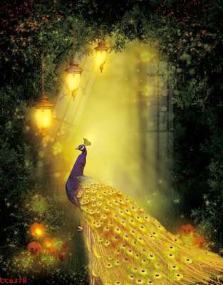 Tải file File gốc tranh chim công CC6378 (gốc) để in ấn ngay