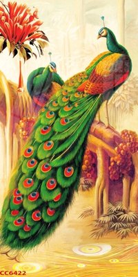Download file File gốc tranh chim công CC6422 (chuẩn in) chất lượng cao