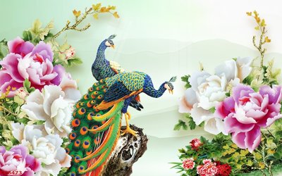 File in trần File gốc tranh chim công CC6473 (file gốc) phong thủy