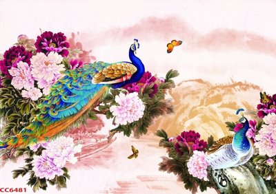 File PSD File gốc tranh chim công CC6481 (bản gốc) dễ dàng edit