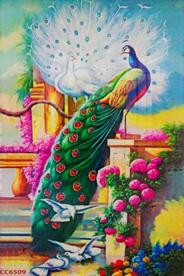 File in lụa File gốc tranh chim công CC6509 (phong cảnh) File gốc tranh chim công CC6509