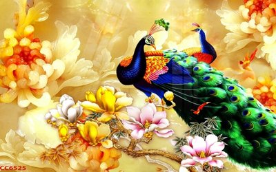 File ảnh File gốc tranh chim công CC6525 (gốc) dùng in Pano