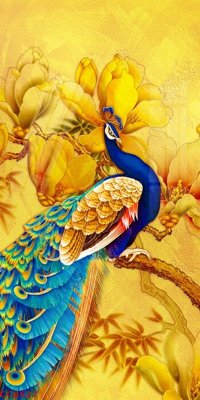 File gốc File gốc tranh chim công CC6527 (trang trí) phòng làm việc