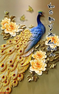 File gốc File gốc tranh chim công CC6549 (chuẩn màu) cho in offset