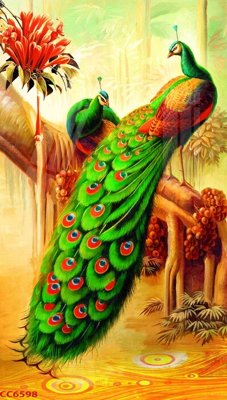 File tranh File gốc tranh chim công CC6598 (file gốc) chủ đề phong thủy