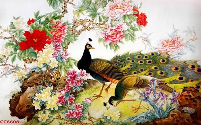 File tranh File gốc tranh chim công CC6608 (gốc) chủ đề động vật