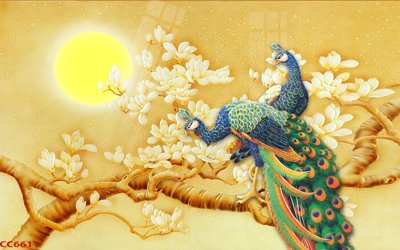 File gốc in tráng gương File gốc tranh chim công CC6611 chi tiết