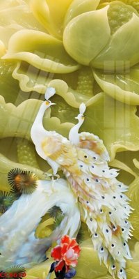 File PSD File gốc tranh chim công CC6619 (gốc) cho in quảng cáo