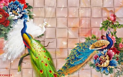 File tranh File gốc tranh chim công CC6631 (gốc) in vải canvas