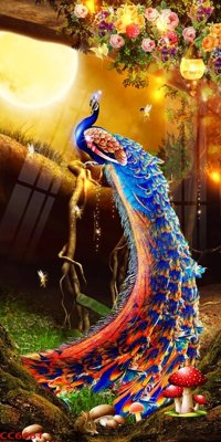 File gốc in ấn File gốc tranh chim công CC6681 chuẩn màu CMYK