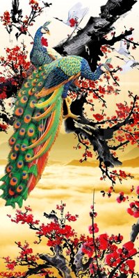 File tranh File gốc tranh chim công CC6736 (bản gốc) in canvas