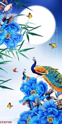 File tranh File gốc tranh chim công CC6740 (ảnh gốc) độ nét vượt trội