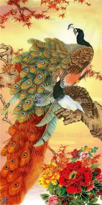 Tải file File gốc tranh chim công CC82 (gốc) chủ đề tâm linh