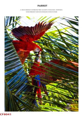 File in trần File tranh dán tường cà phê nhà hàng CF8041 (bản gốc) đại dương