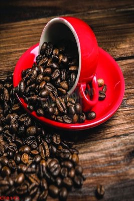 File gốc File tranh dán tường cà phê nhà hàng CF8143 (in ấn) màu sắc trung thực