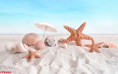 File in trần File tranh dán tường cà phê nhà hàng CF8284 (file gốc) chủ đề vũ trụ