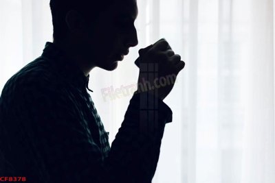 File in mica File tranh dán tường cà phê nhà hàng CF8378 (ảnh gốc) đẹp