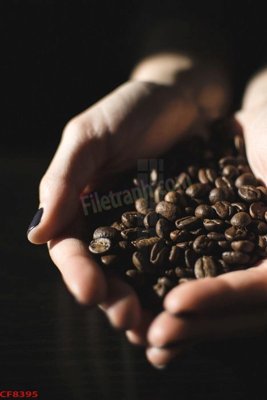 Tải file tranh File tranh dán tường cà phê nhà hàng CF8395 (ảnh gốc) ngay