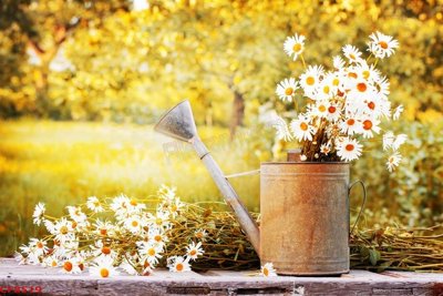 File tranh File tranh dán tường cà phê nhà hàng CF8519 (gốc) in vải canvas