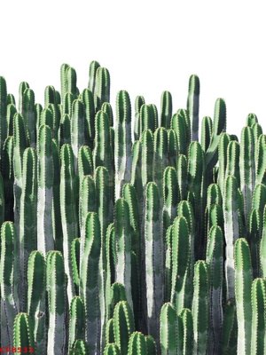 Tải file gốc File tranh dán tường cà phê nhà hàng CF8533 (in không vỡ ảnh)