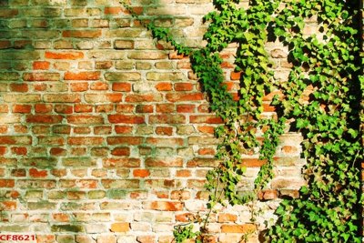 File PSD File tranh dán tường cà phê nhà hàng CF8621 (chất lượng in ấn)