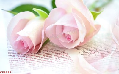 File gốc File tranh dán tường cà phê nhà hàng CF8737 (in lụa) chi tiết cao