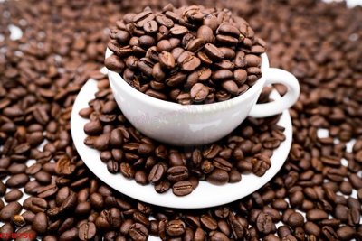 File in mica File tranh dán tường cà phê nhà hàng CF8750 (bản gốc) sắc sảo