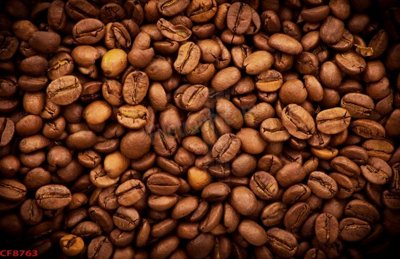 Download file gốc File tranh dán tường cà phê nhà hàng CF8763 (in lụa) hoa lá