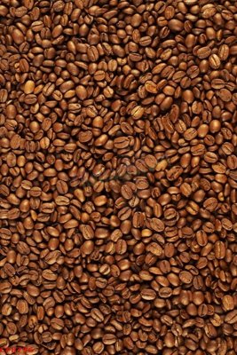 Mua file ảnh gốc File tranh dán tường cà phê nhà hàng CF8796 (chất lượng cao)