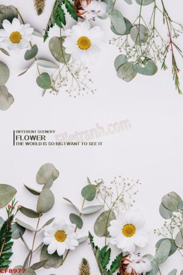 File in trần File tranh dán tường cà phê nhà hàng CF8977 (file gốc) xuyên sáng