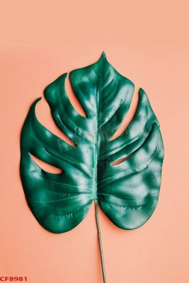 Tải file File tranh dán tường cà phê nhà hàng CF8981 (ảnh gốc) in tráng gương