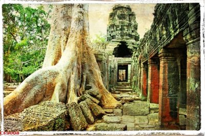 File tranh File tranh dán tường cà phê nhà hàng CF9008 (gốc) chủ đề thiên nhiên