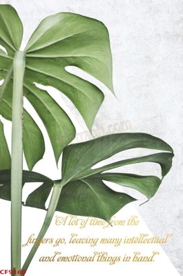 File gốc File tranh dán tường cà phê nhà hàng CF9169 (PNG) chất lượng cao