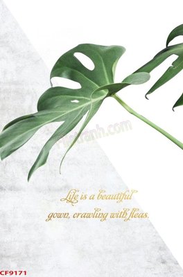 Tải file File tranh dán tường cà phê nhà hàng CF9171 (gốc) làm file thiết kế