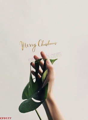 Tải file File tranh dán tường cà phê nhà hàng CF9177 (PSD) cho in tranh 3D