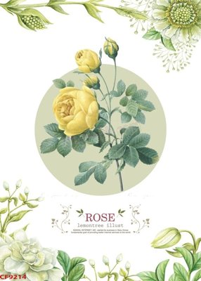 File in trần File tranh dán tường cà phê nhà hàng CF9214 (file gốc) xuyên sáng