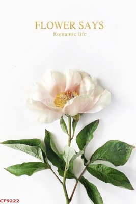 Tải file File tranh dán tường cà phê nhà hàng CF9222 (ảnh gốc) in tráng gương