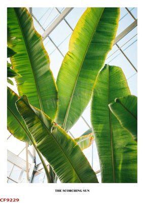 Tải file gốc File tranh dán tường cà phê nhà hàng CF9229 (in khổ lớn) quảng cáo