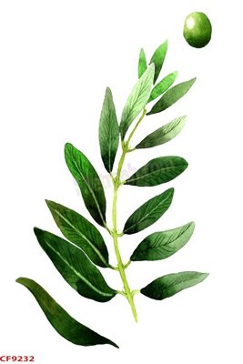 Mua file tranh gốc File tranh dán tường cà phê nhà hàng CF9232 tại Filetranh.com