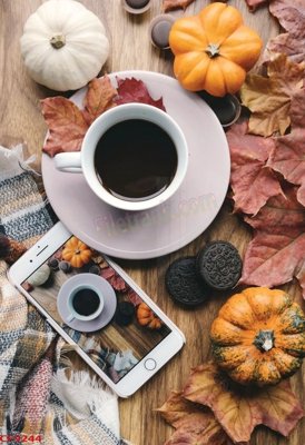 File in trần File tranh dán tường cà phê nhà hàng CF9244 (file gốc) xuyên sáng