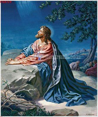 Tải file gốc File gốc tranh công giáo CG659 (in tráng gương) 5DFile gốc File gốc tranh công giáo CG659 (in ấn) phiên bản premium