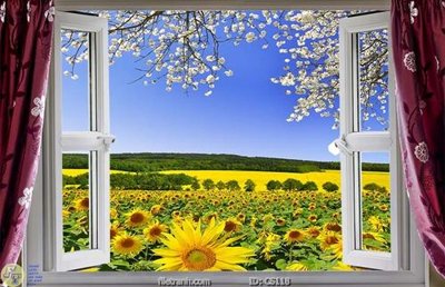 Chi tiết file tranh tráng gương File gốc cửa sổ 3D CS118 (ảnh gốc)